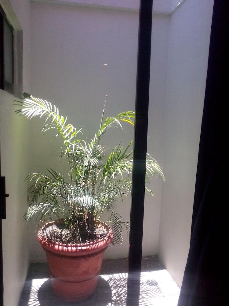阿尔波尔达斯工业酒店 瓜达拉哈拉 外观 照片